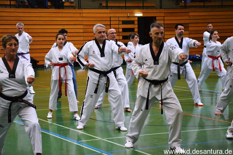 Poomsae_Seminar_2019GM_Ik-Pil_Kangbild06.jpg