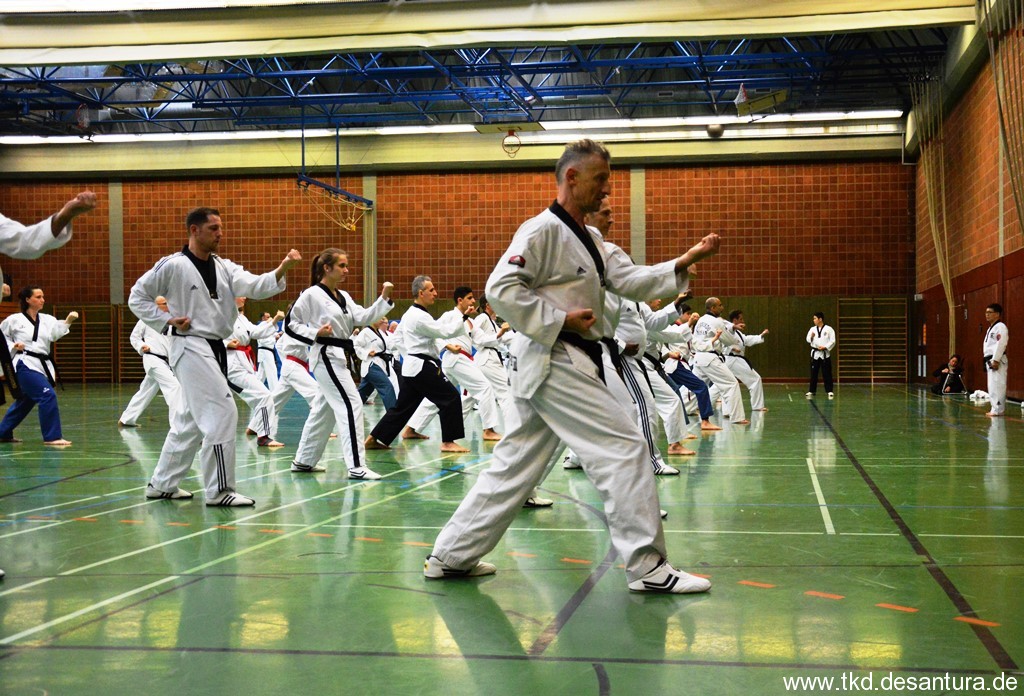 Poomsae_Seminar_2019GM_Ik-Pil_Kangbild19.jpg