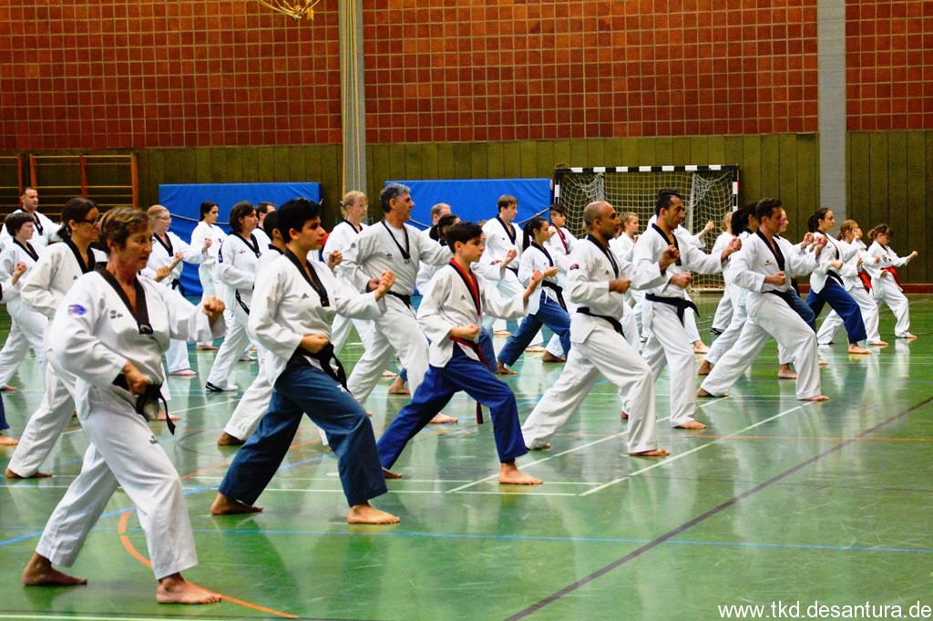 Poomsae_Seminar_2019GM_Ik-Pil_Kangbild23.jpg